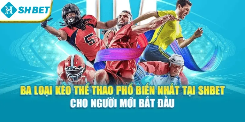 Ba loại kèo thể thao phổ biến nhất tại Shbet cho người mới bắt đầu